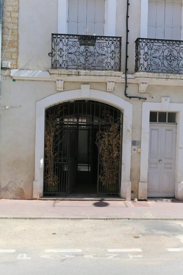 Joli Appartement Aux Beaux Arts Loft Avec Terrasse Montpellier Exteriör bild